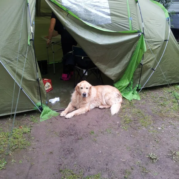 camping-le-rancho-argels-sur-mer-egwrv