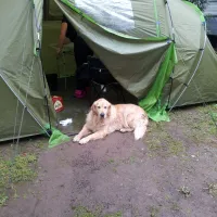 camping-le-rancho-argels-sur-mer-egwrv