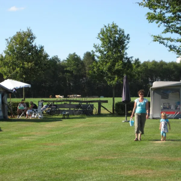 minicamping-erve-vleerbosch-haarle-1itcb