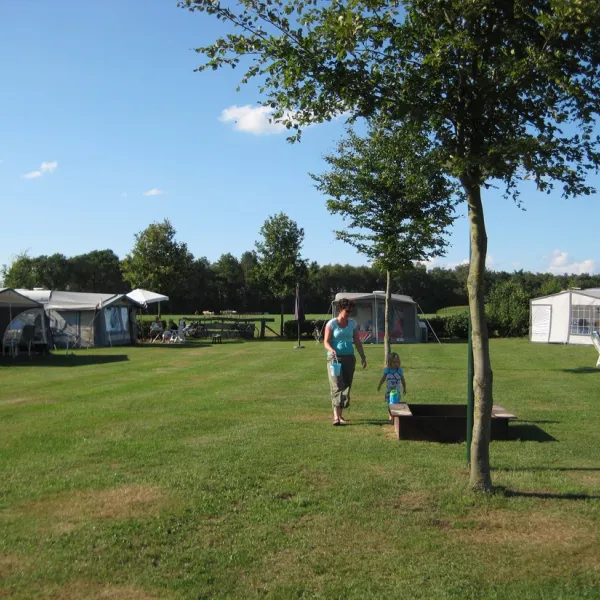 minicamping-erve-vleerbosch-haarle-ciino