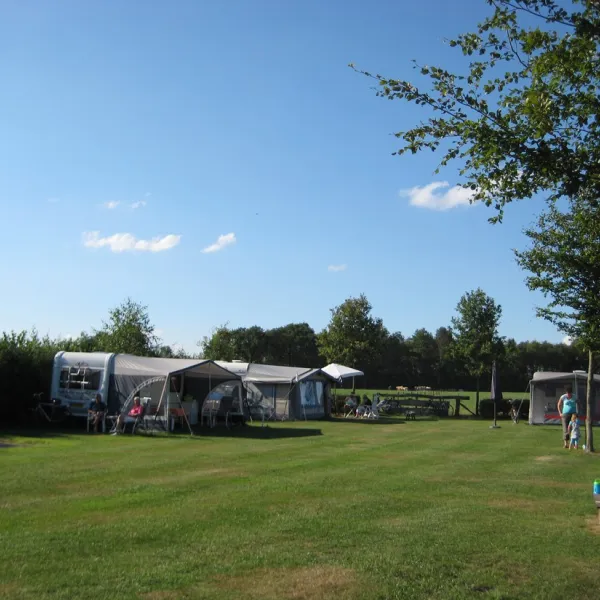 minicamping-erve-vleerbosch-haarle-wn8lf