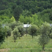 camping-le-roc-qui-parle-nant-12buz
