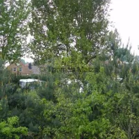 wohnmobilstellplatz-meusel-elsterheide-8w9aj