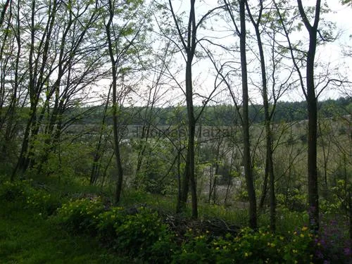 wohnmobilstellplatz-meusel-elsterheide-yf1xp