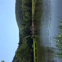Camping du Fleckenstein