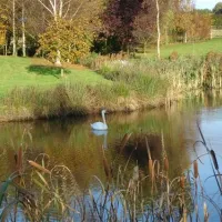 Park Grange Holidays