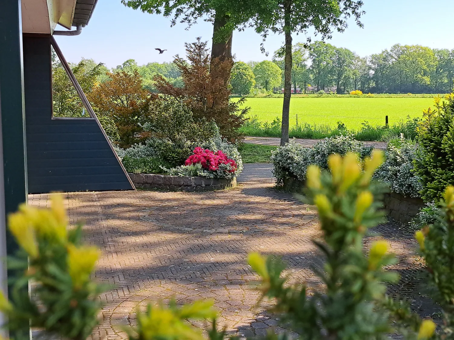 camping-nieuw-kempink-aalten-lmfgh