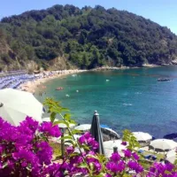 agricamping--alessandra-ameglia-per-camper-ameglia-sp-3q0ux