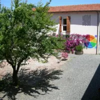 agricamping--alessandra-ameglia-per-camper-ameglia-sp-zjy0b
