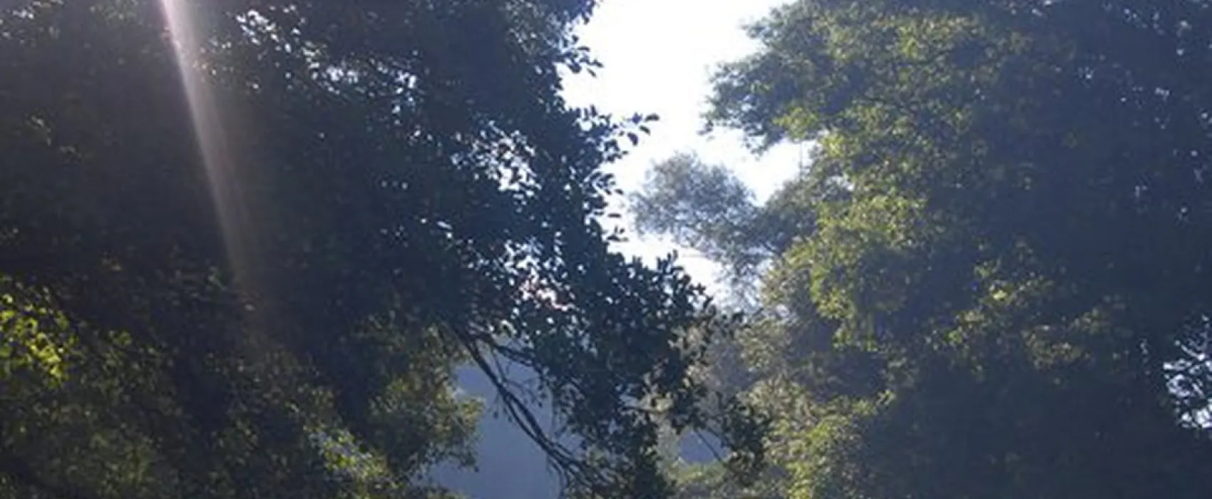 Camping Le Vedeur