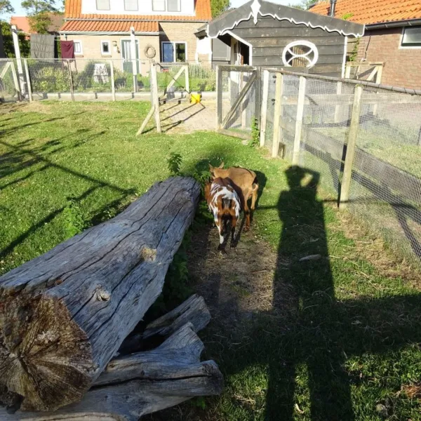 boerderijcamping-de-kluithoek-meliskerke-extsh