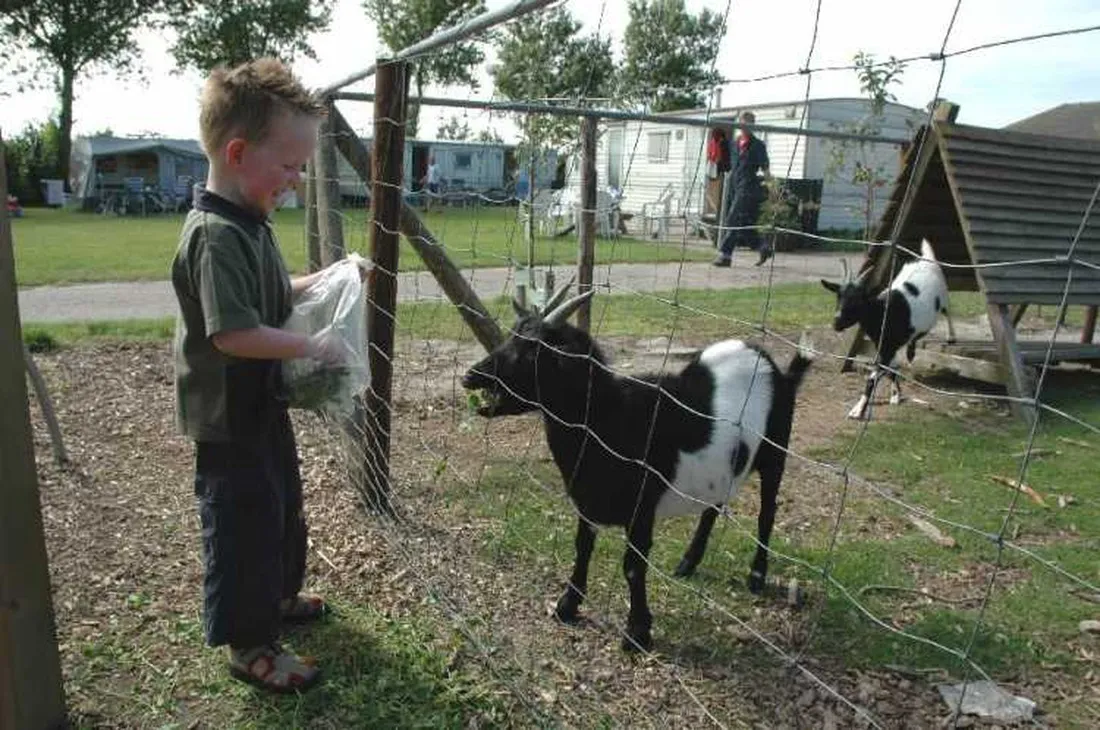 boerderijcamping-de-kluithoek-meliskerke-urmus