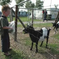 Boerderijcamping De Kluithoek