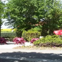 camping-le-rejallant-condac-li666