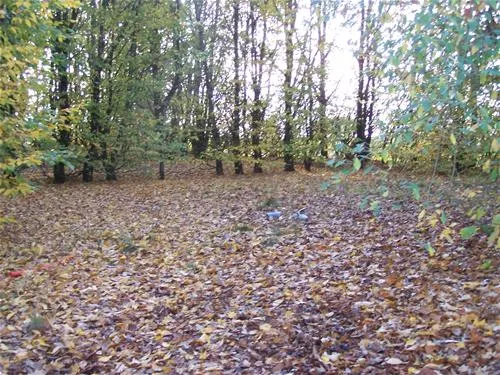 camping-le-rejallant-condac-nqyww