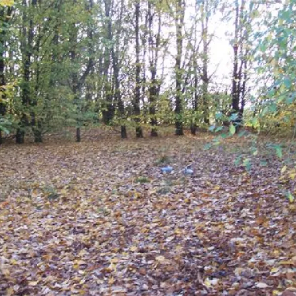 camping-le-rejallant-condac-nqyww