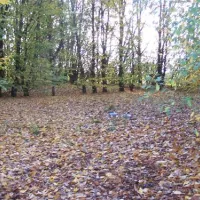 camping-le-rejallant-condac-nqyww