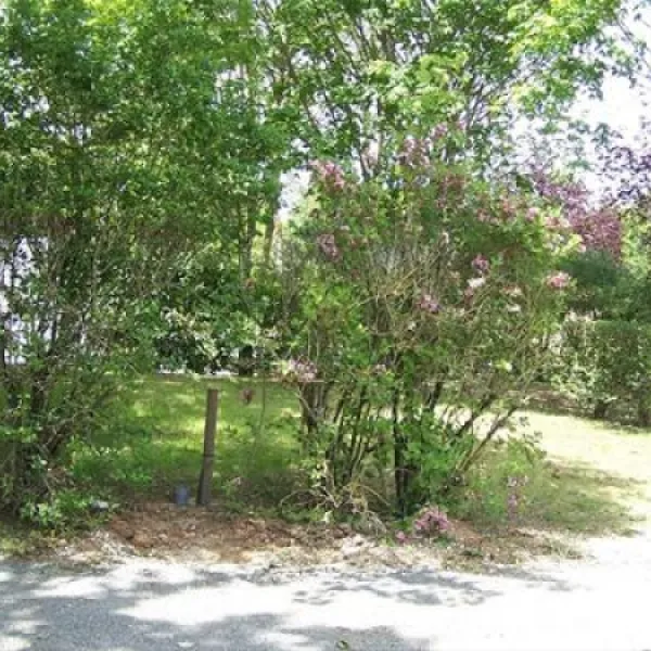camping-le-rejallant-condac-wp4xd