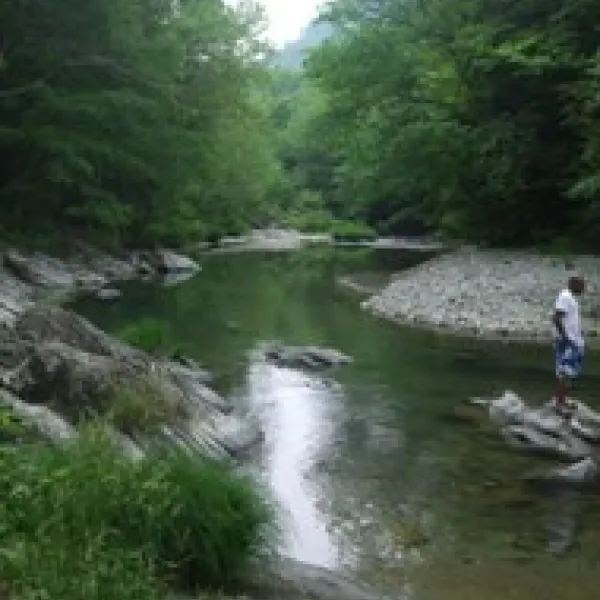 Aqua Vista Campground