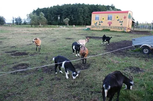 naturcamp-zu-den-zwei-birken-duvendiek-eubfs