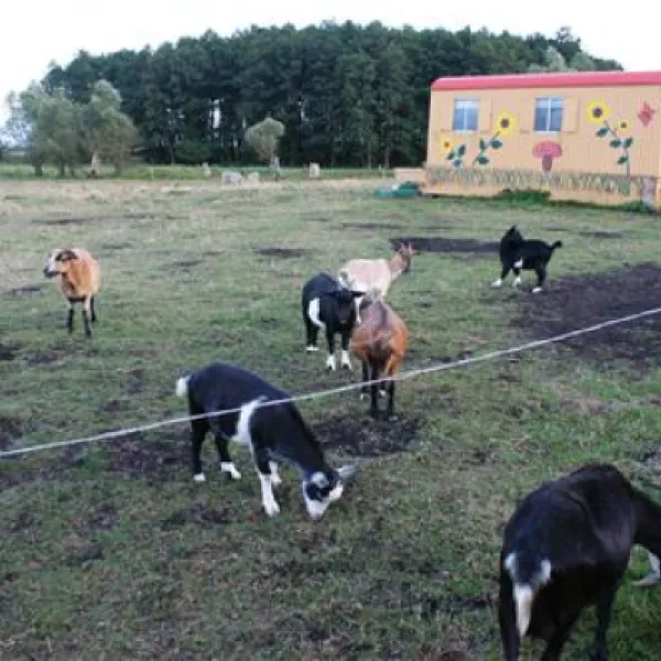 naturcamp-zu-den-zwei-birken-duvendiek-eubfs