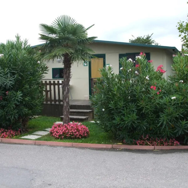 camping-butterfly-peschiera-del-garda-f3yok