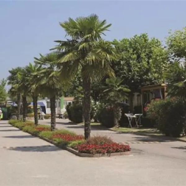 camping-butterfly-peschiera-del-garda-zfapu