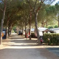 Campeggio Stella del mare