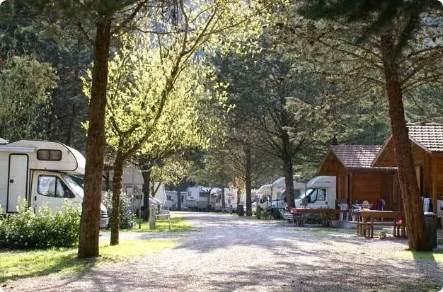 campeggio-pineta-pietralunga-z2nam