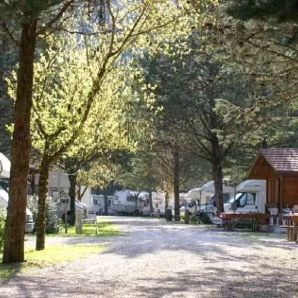 campeggio-pineta-pietralunga-z2nam