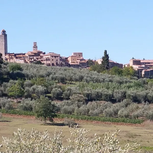 campeggio-il-boschetto-di-piemma-sgimignano-nu7ur