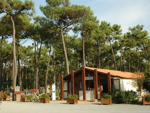 camping-municipal-plage-de-riez-st-hilaire-de-riez-wzrde