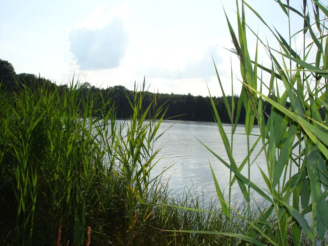 camping-park-weiherhof-seck-lebey