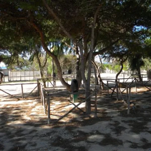 agricampeggio-capo-scalambri-santa-croce-camerina-rlzcv
