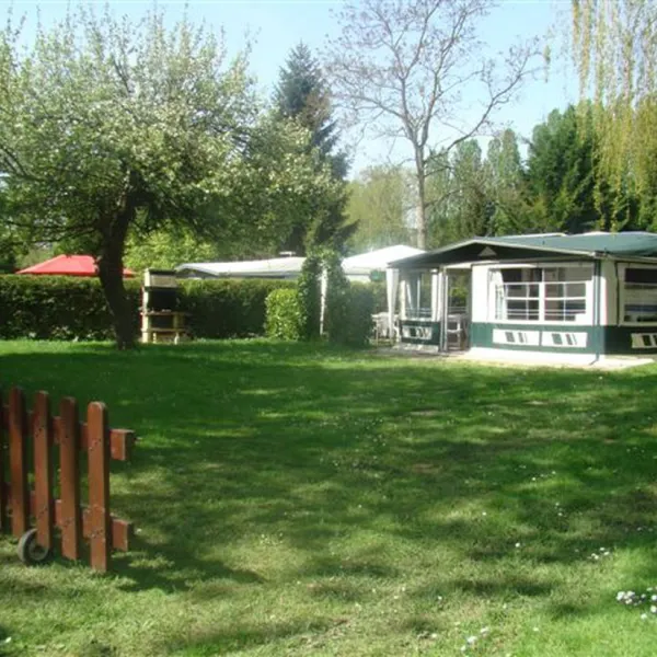 lile-demoiselle-annet-sur-marne-joggu