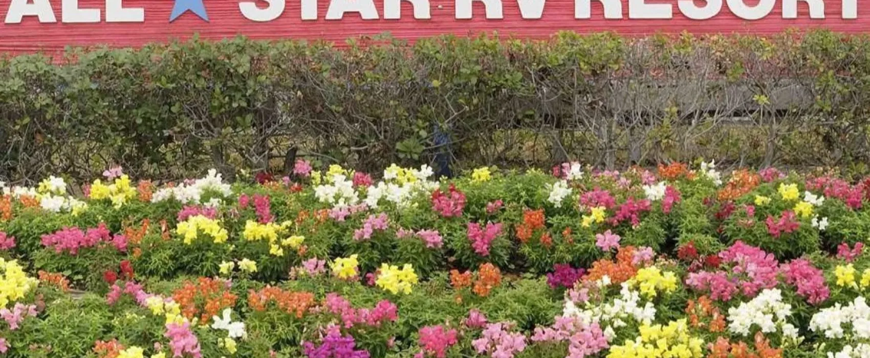 All Star RV Resort