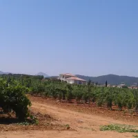 le-pansard-la-londe-les-maures-ga68d