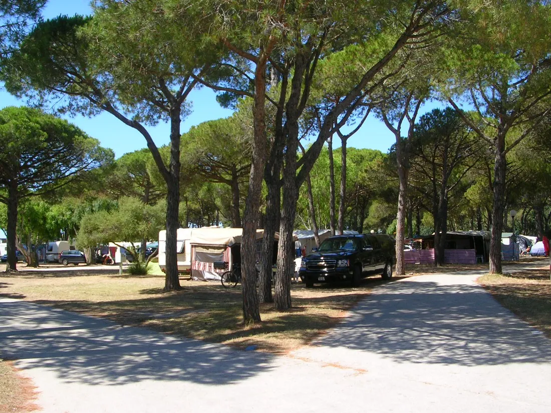 le-pansard-la-londe-les-maures-ryobd
