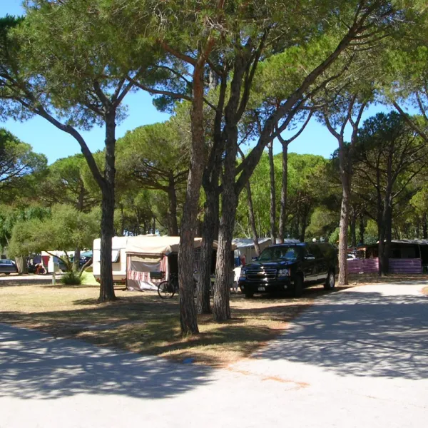 le-pansard-la-londe-les-maures-ryobd