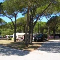 le-pansard-la-londe-les-maures-ryobd