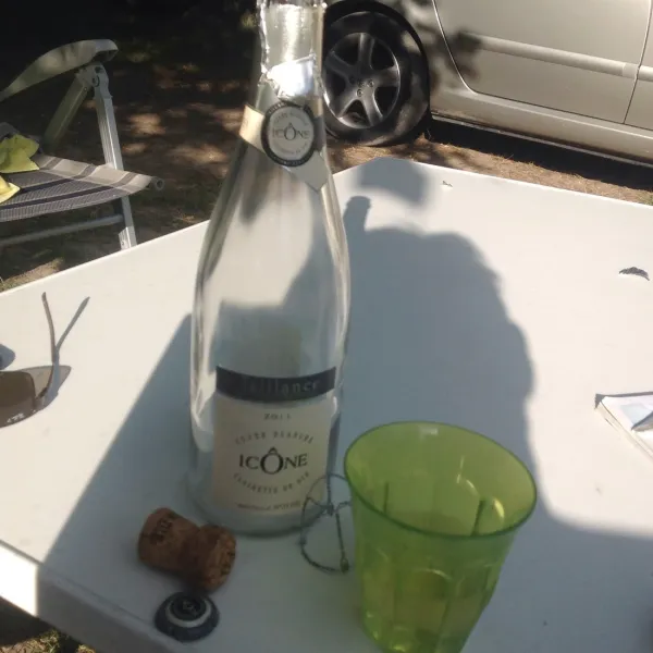 de-chamarges-die-zeocl
