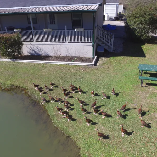 Woodland Lakes RV Park