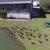 woodland-lakes-rv-park-conre-pjoog
