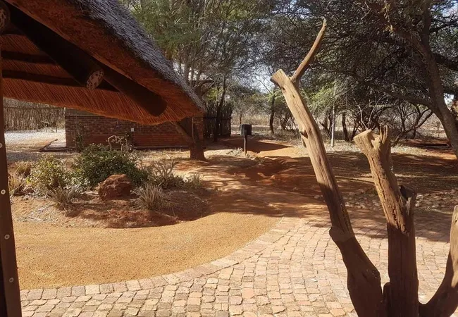 sondela-moselesele-tent-camp-bela-bela-waterberg-du9mt