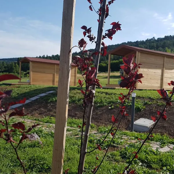 Camping & glamping The Sunrise Hill Pivka