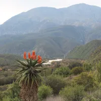 die-dam-river-camp-matjiesvlei-calitzdorp-nzgus