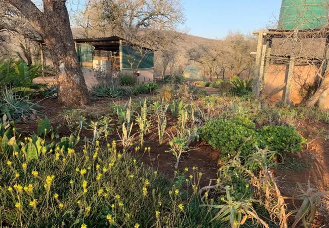 shayamoya-rustic-bush-camp-golela-district-pongola-emlsc