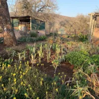 shayamoya-rustic-bush-camp-golela-district-pongola-emlsc