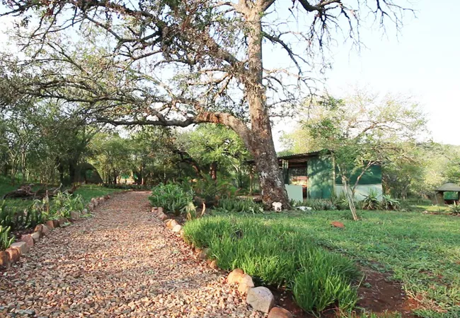 shayamoya-rustic-bush-camp-golela-district-pongola-xvgho