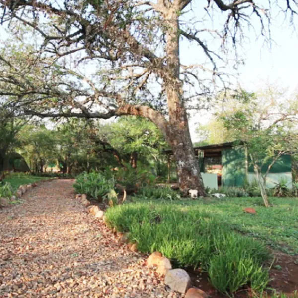 shayamoya-rustic-bush-camp-golela-district-pongola-xvgho